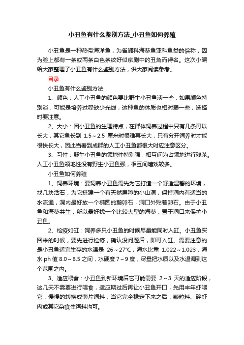 小丑鱼有什么鉴别方法_小丑鱼如何养殖