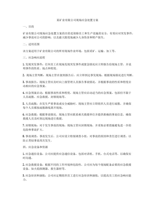 某矿业有限公司现场应急处置方案