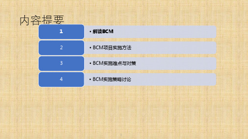 BCM实施指南PPT课件