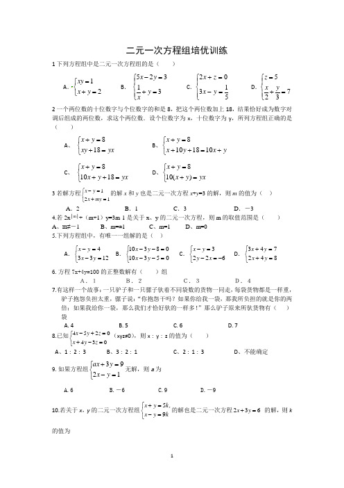 二元一次方程组提高训练题李维一用的2