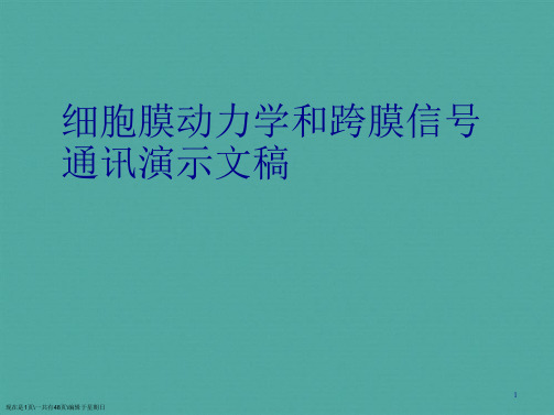 细胞膜动力学和跨膜信号通讯演示文稿