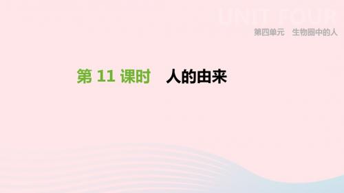 2019年中考生物专题复习四生物圈中的人第11课时人的由来课件新人教版