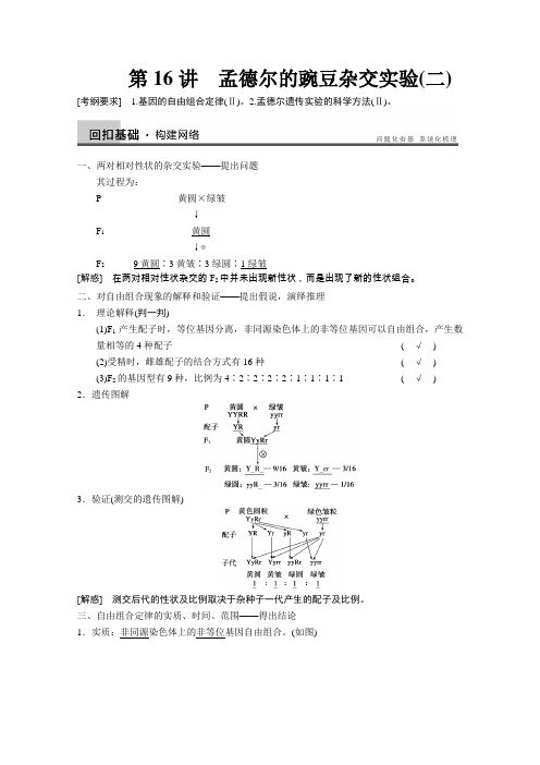 孟德尔的豌豆杂交实验(自由组合定律)