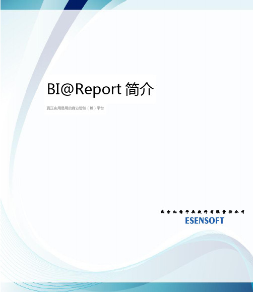 BI@Report3.3简介2022