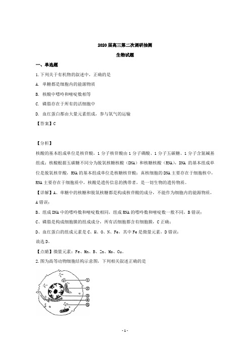 【解析】江苏省南通市通州区2020届高三第二次调研抽测生物试题