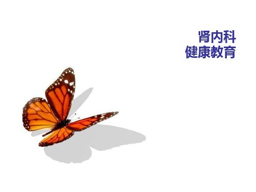 肾病透析治疗演示课件
