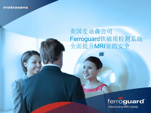 Ferroguard 英国麦迪森铁磁质检测系统 (Assure) SLS-048v2(1)