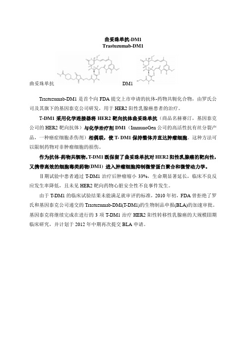 重磅炸弹 曲妥珠单抗