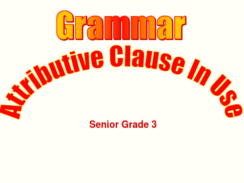 高三定语从句复习Attributive Clause In Use课件)(共29张PPT)