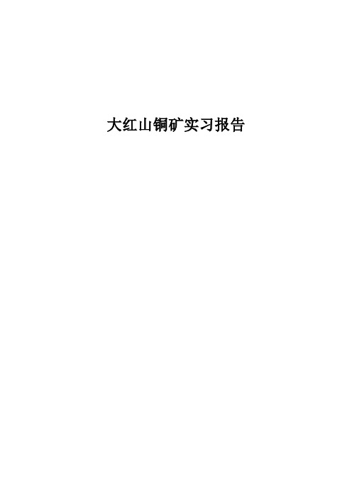 大红山铜矿生产实习报告