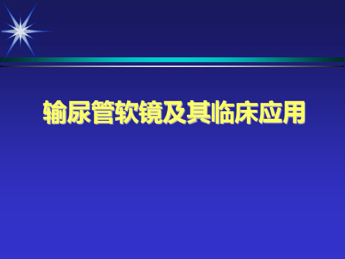 输尿管软镜及其应用(教学课件)