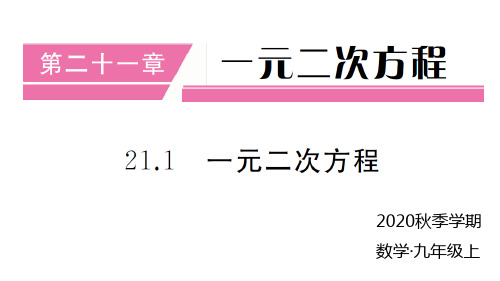 2020秋人教版九年级数学上册作业课件21.1 一元二次方程