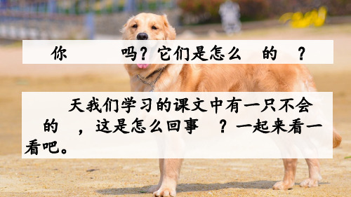 部编版三年级语文上册《14 小狗学叫》PPT