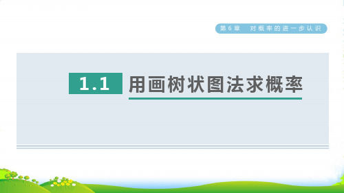 九年级数学下册 第六章 对概率的进一步认识1 用树形图或表格求概率第1课时用画树状图法求概率习题 鲁