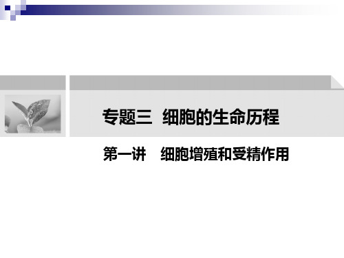 复习课件高三二轮细胞增殖和受精作用