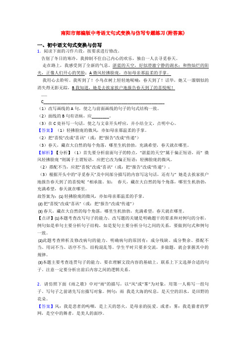 南阳市部编版中考语文句式变换与仿写专题练习(附答案)