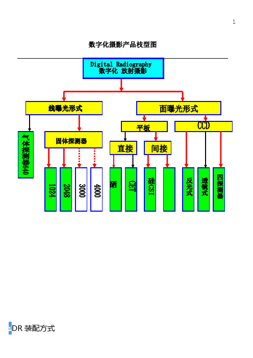 DR分析