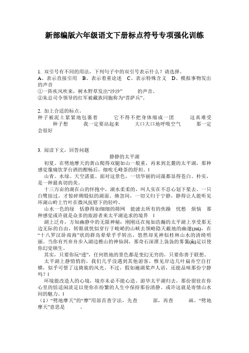 新部编版六年级语文下册标点符号专项强化训练