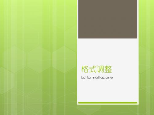 Excel2010格式调整-PPT精品文档