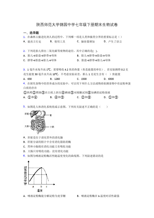 陕西师范大学锦园中学七年级下册期末生物试卷