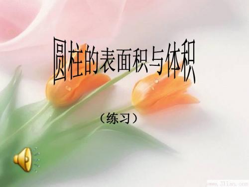 圆柱的表面积与体积(练习)