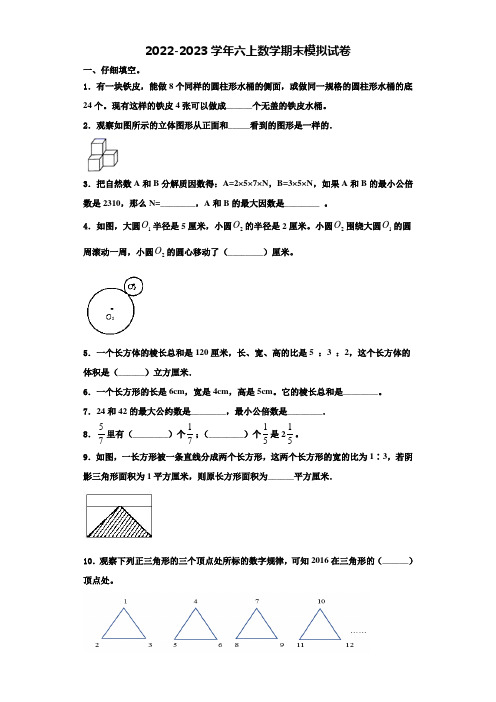 2022年铜仁地区铜仁市六年级数学第一学期期末复习检测模拟试题含解析