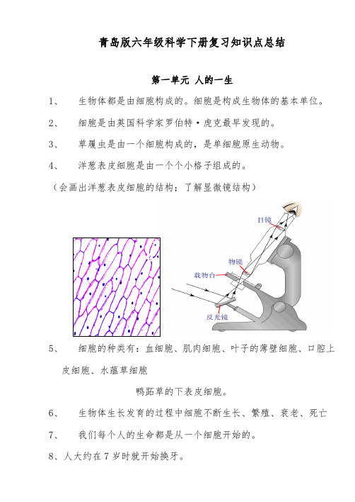 推荐精品小学科学青岛版六年级科学下册全册知识点总结及试题、实验设计