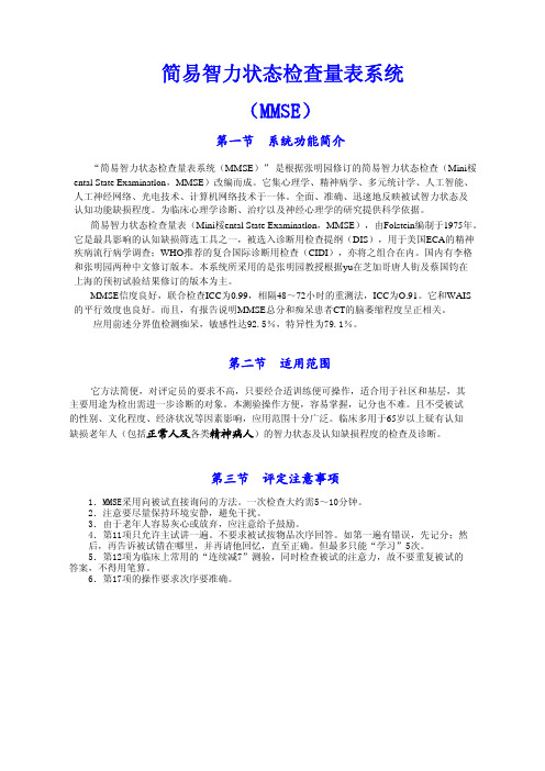 简易智力状态检查量表系统(MMSE)