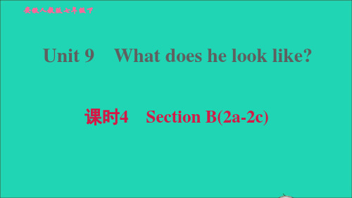 七年级英语下册Unit9课时4SectionB2a-2c习题课件新版人教新目标版