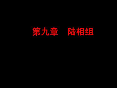 第九章第一节  冲积扇相