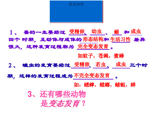 两栖动物的生殖和发育(人教版)PPT课件1