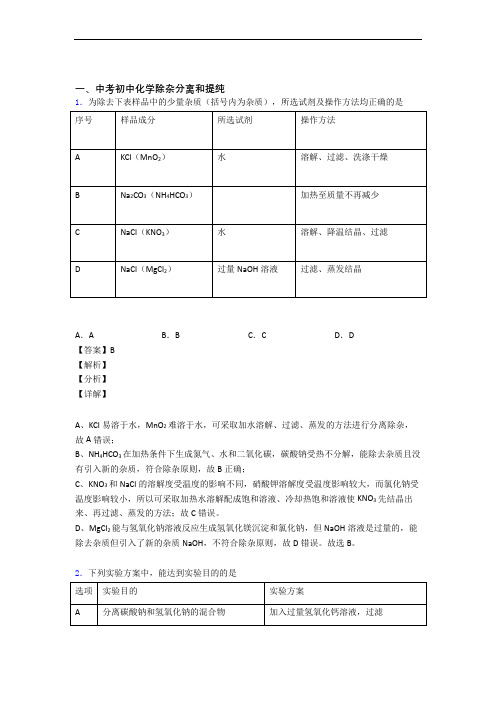 中考化学易错题精选-除杂分离和提纯练习题及答案