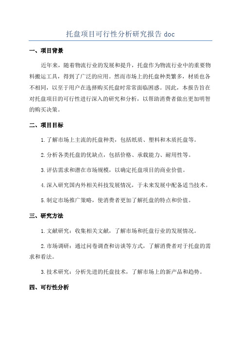 托盘项目可行性分析研究报告doc