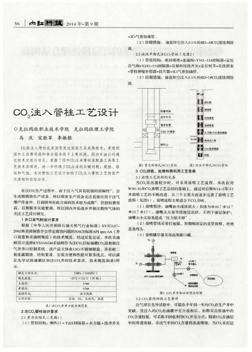 CO2注入管柱工艺设计