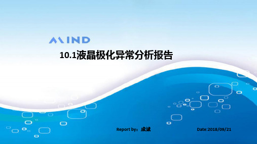 10.1液晶极化异常分析报告