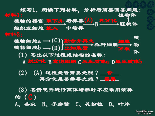 高三生物一轮复习新陈代谢 酶与ATP课件 人教版