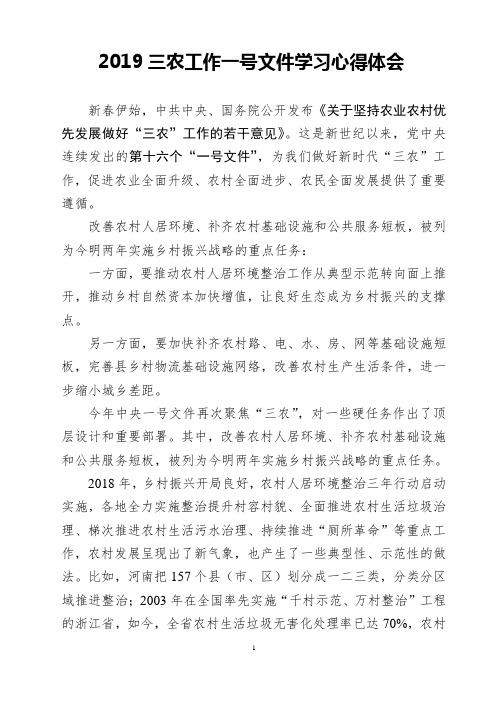 学习贯彻2019中央一号文件心得感悟三