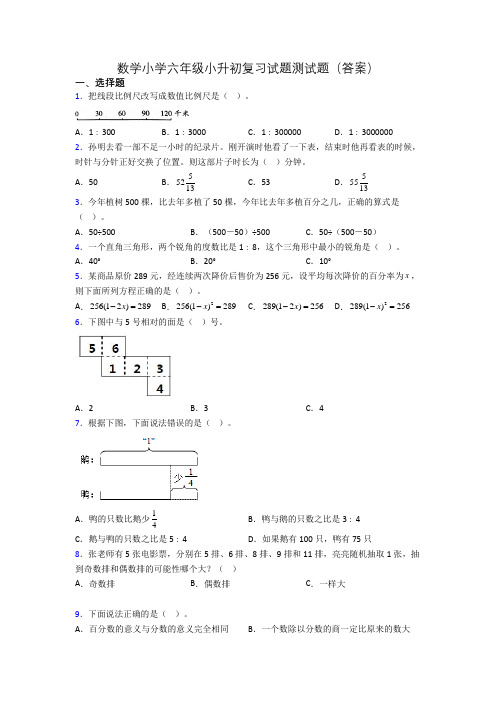 数学小学六年级小升初复习试题测试题(答案)