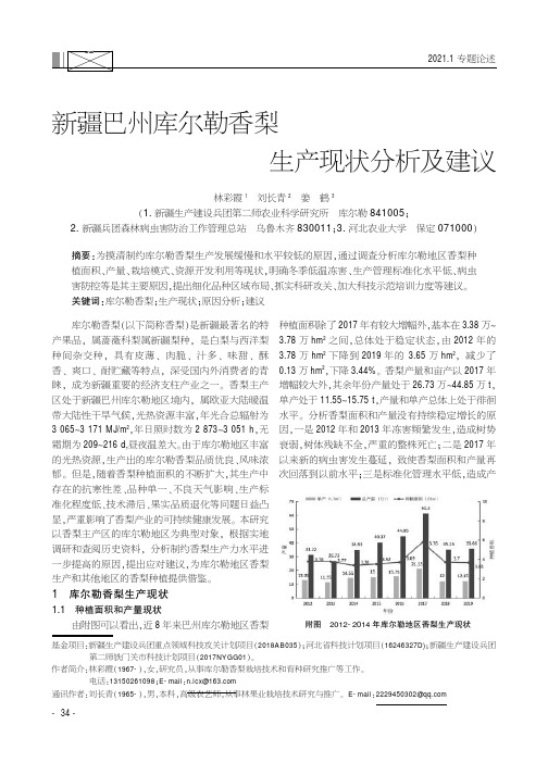 新疆巴州库尔勒香梨生产现状分析及建议