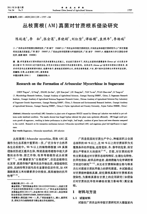 丛枝菌根(AM)真菌对甘蔗根系侵染研究