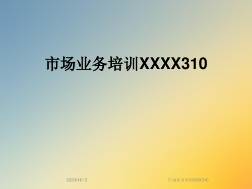 市场业务培训XXX310