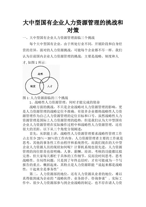 大中型国有企业人力资源管理的挑战与对策