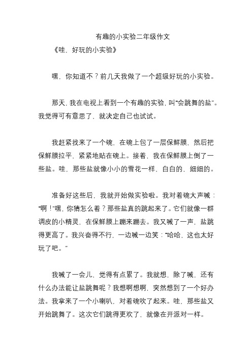 有趣的小实验二年级作文