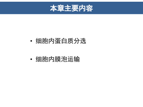 第8章蛋白质分选与膜泡运输ppt课件