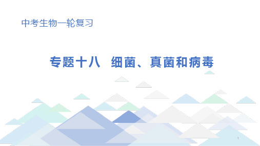 初中生物中考总复习课件：专题18 细菌、真菌和病毒