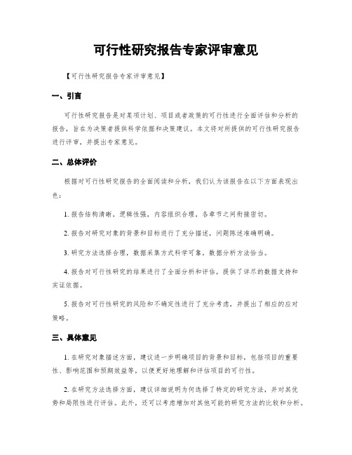 可行性研究报告专家评审意见