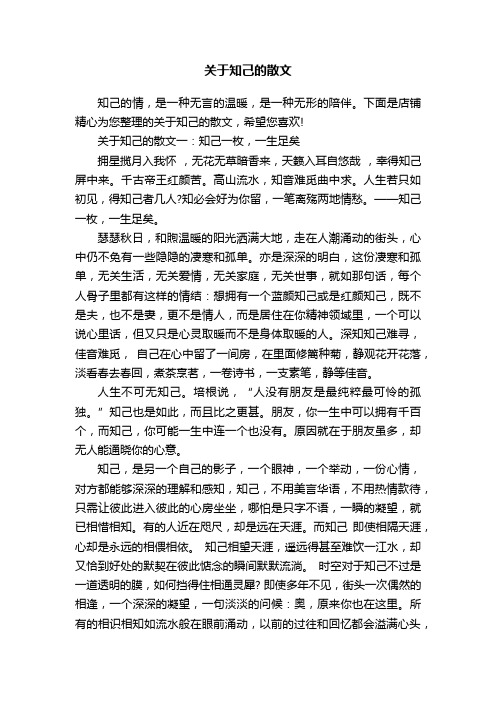 关于知己的散文