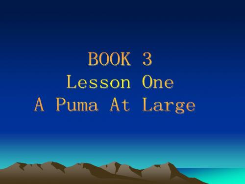 新概念第三册lesson1 A puma at large