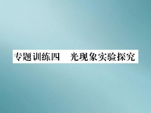 第四章专题训练四 光现象实验探究—2020秋沪科版八年级物理上册课堂作业课件