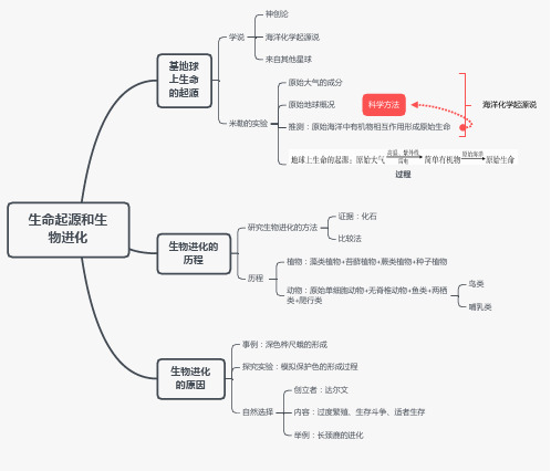 第七单元第三章  生命起源和生物进化——八年级下册生物人教版思维导图